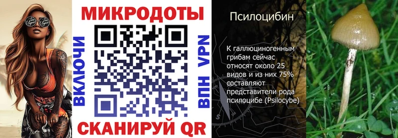 Галлюциногенные грибы Psilocybe  Купить где  Арсеньев 