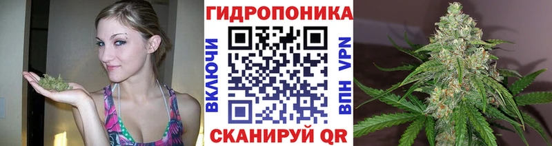 Конопля сатива  Купить  Арсеньев 